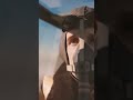 Unbelievable WWII Story What Happened Between Charlie Brown And Franz Stigler P1 CbassProductions