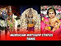 Murugan Whatsapp Status In Tamil Lord Murugan Status Tamil Murugan Songs Whatsapp Status Tamil