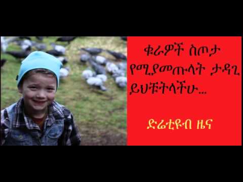 DireTube News - The girl who gets gifts from birds