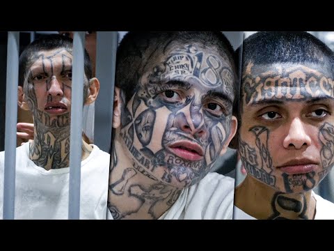 'Uno no siente remordimiento de nada': ENTREVISTA COMPLETA.