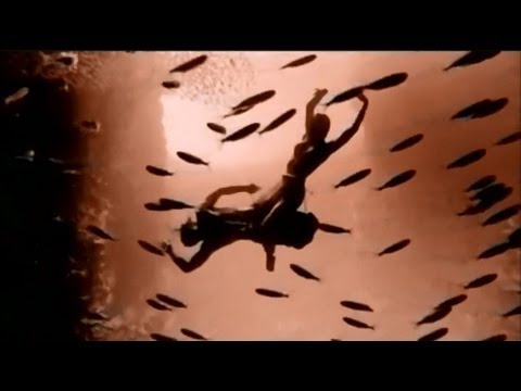 Bizet - Carmen: Habanera