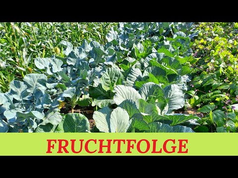 Crop rotation in the vegetable garden - My 9-plot concept