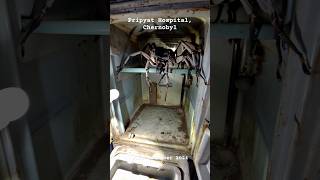 Abandoned Chernobyl Hospital housing HUGE SPIDER in refrigerator #spider #creepy #chernobyl
