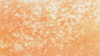 Michael Franks ~ The Lady Wants To Know