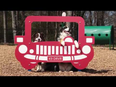 BarkPark™ Recycled Tidy Up Trash Receptacle Kit video 1