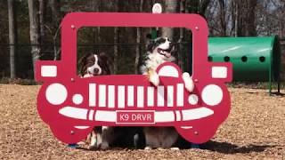 BarkPark™ Recycled Tidy Up Trash Receptacle Kit video thumbnail 1
