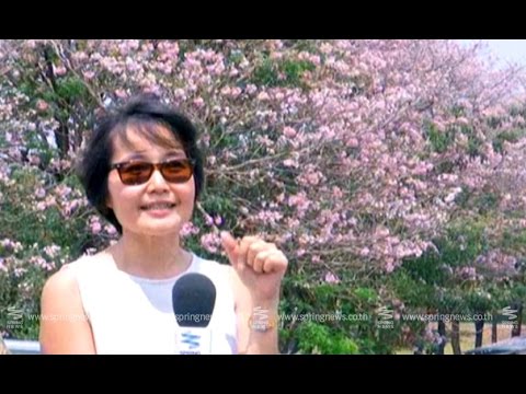 สวนจตุจักร