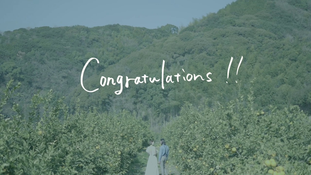 【ミニッツムービー】福井麻衣子Uwajima Mikan Wedding / LUMIX G9 PRO【パナソニック公式】