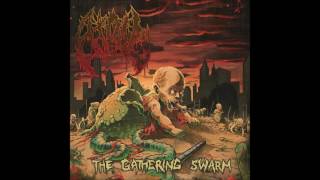 Atoll - Among The Writhing Masses (HQ) 2016