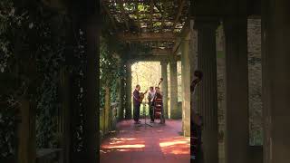 ‘Oo-De-Lally’ by Roger Miller from Disney’s Robin Hood 🌳🍃✨🫶 #music #acousticfolk