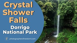 Dorrigo National Park And Crystal Shower Falls - Footage From My Day Off