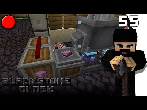 [Minecraft] BLACKSTONEBLOCK - EXPERT 1.16.5 / closed beta #55 [FR]