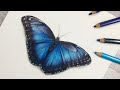 How to Use WATERCOLOUR PENCILS | Blue Butterfly Tutorial
