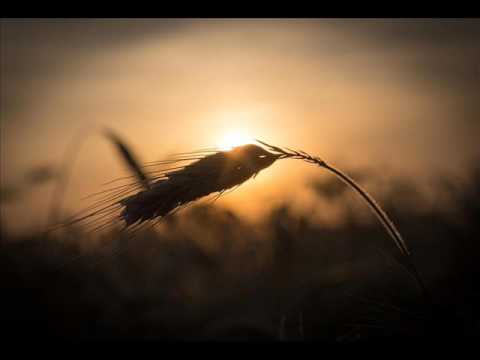 ''Modlitwa o wschodzie słońca '' - Przemysław Gintrowski