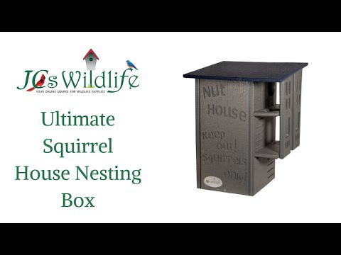 Ultimate Squirrel House Product Overview