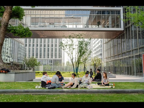 Spend Next Semester in China with NYU Shanghai — video 6