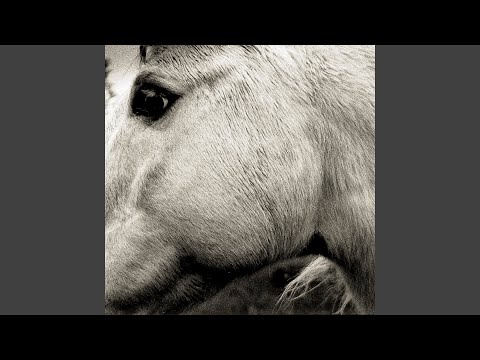 Video thumbnail for Lowlands