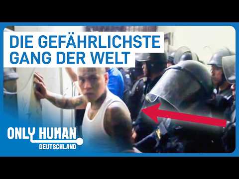 Überleben in den Favelas: Ein Tag zu Besuch bei der gefährlichsten Straßengang der Welt