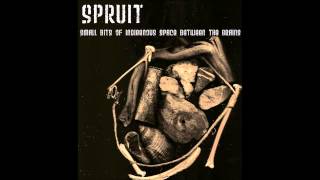 Spruit - Track-II