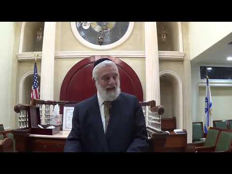 King David - Book of Psalms/Tehilim - Lecture 124 Chapter 119 (Part 7)