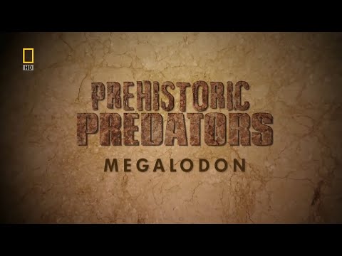 Prehistoric Predators - Ep 4 Megalodon (2009)