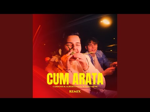 Cum Arata (Remix)