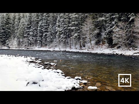 4K Peaceful Winter River | Winter Nature Ambience | Relaxing River Sounds for Sleep & Meditation