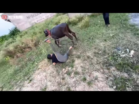 Chinu ye kya kar rha 😂