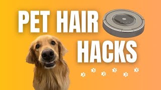 Pet Hair Hacks! Top 5 Ways To Manage Shedding From Your Dog In Your Home!