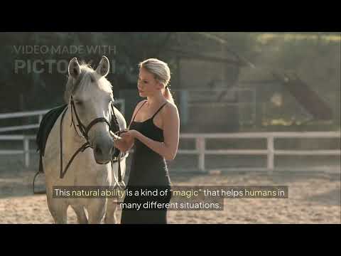 Speaking test 4: Animal Magic