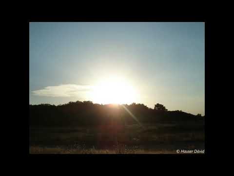 Papp Zongoraiskola II. - 114 Gyakorlat