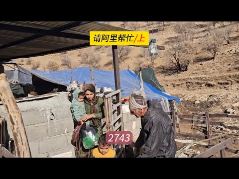 Two puppies came to my house, and the plumbing installation cost a whopping 19 million. Mina Docu...