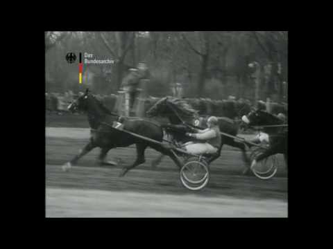 Prix d'Amerique 1961 - Masina / Francois Brohier