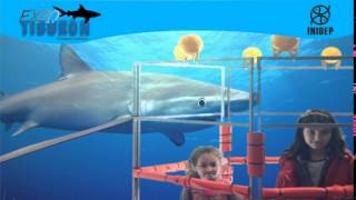 DIA 2 Expo Tiburon261