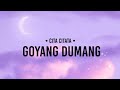 Cita Citata - Goyang Dumang (lirik)