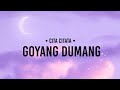 Cita Citata Goyang Dumang Lirik