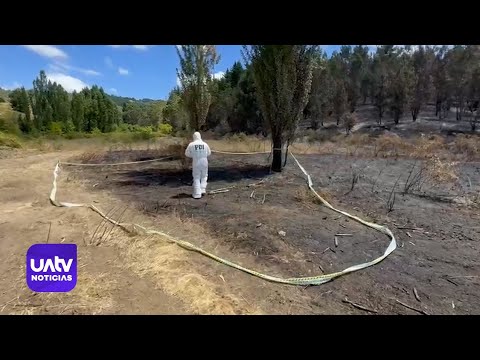 Investigación por incendio forestal en Los Sauces
