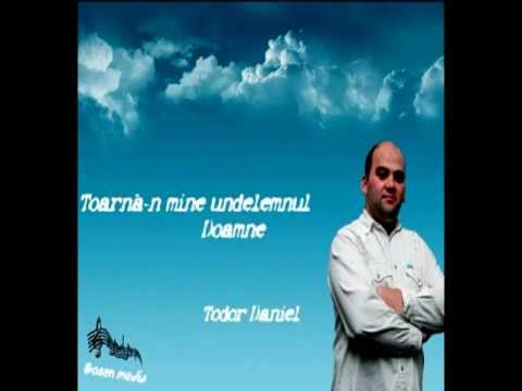 Toarna-n mine undelemnul Doamne - Todor Daniel