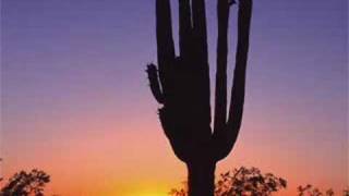 Beck - 02 Gamma Ray (with Lyrics) - Modern Guilt