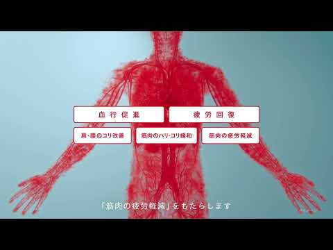 バイタルテック Uネックインナー半袖 M ReD（レッド） ホワイト VW-AC