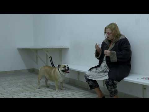 AM KÖLNBERG - Offizieller Trailer