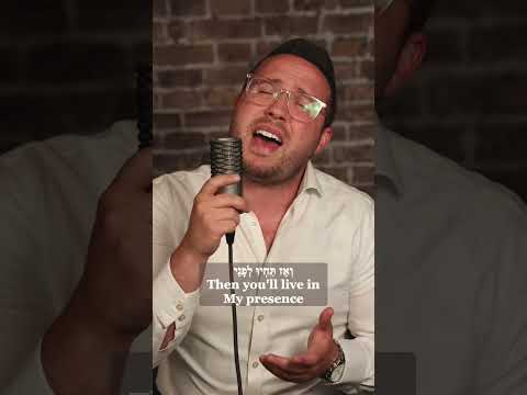 Shabbos - Abe Cohen