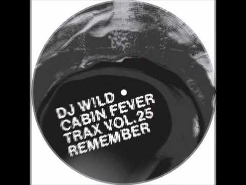 DJ W!ld - Dream Of Me