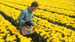 ARKANGEL R-15.- LA 4x4.wmv