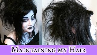 Maintaining My Hair | Black Friday