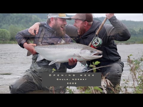 Early risers - Salmon Fishing in Gaula