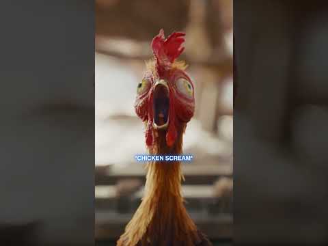 *Heihei scream*
