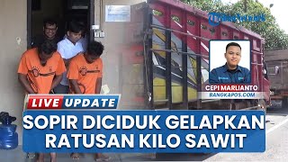 Dua Sopir TBS Gelapkan Buah Sawit Perkebunan Kabupaten Bangka Selatan Barbuk 940 Kilogram Diamankan