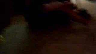 Drunken Loser Making Out with Dog