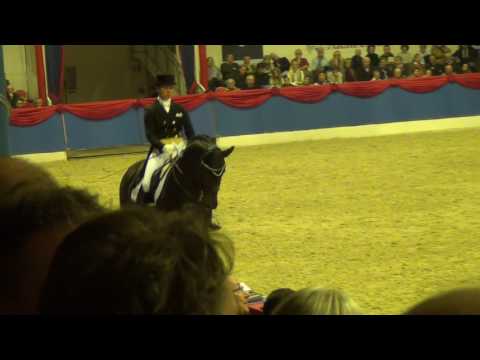 For Romance I Althengstparade OLD 2016